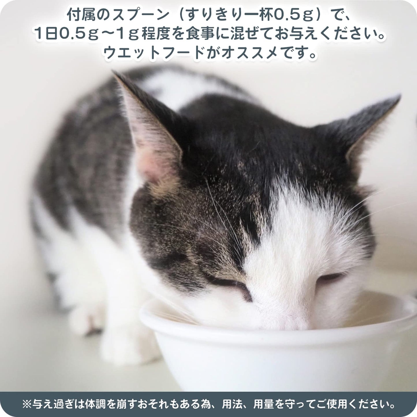 Happet 猫用 L-リジン 国産100% 60g 微細粉末 スプーン付き 粉末タイプ ペット用リジン 無味無臭タイプ 猫用りじんサプリメント猫風邪 猫用風邪薬 猫用風邪サプリメント 猫用くしゃみサプリメント 猫用鼻水サプリメント 猫用目やにサプリメント 愛猫の健康をサポート